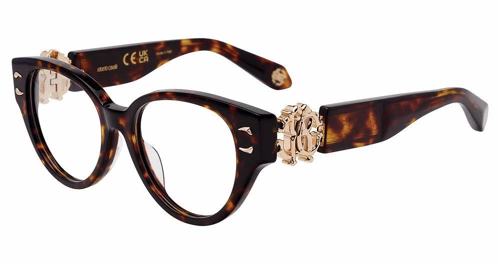 Roberto Cavalli VRC076M Eyeglasses - view 4
